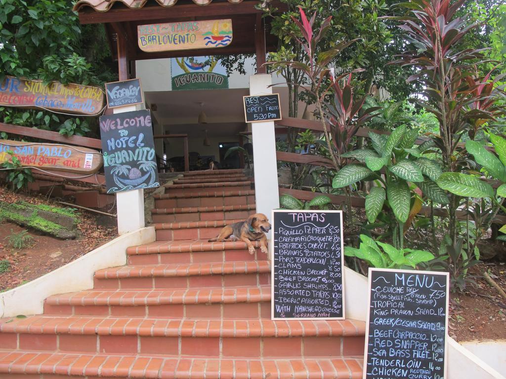 Hotel Iguanito Santa Catalina Bagian luar foto